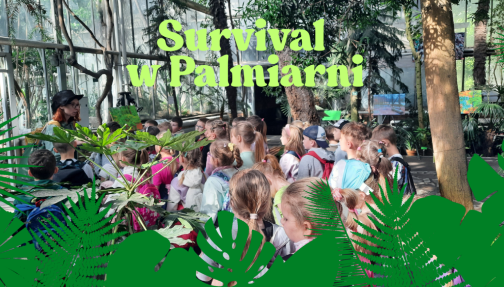 Survival w Palmiarni