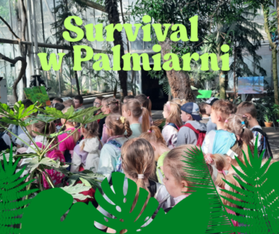 Survival w Palmiarni