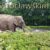 Wewroclawskimzoo