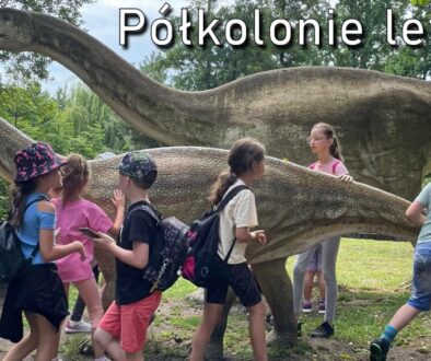 Polkolonieletnie2025