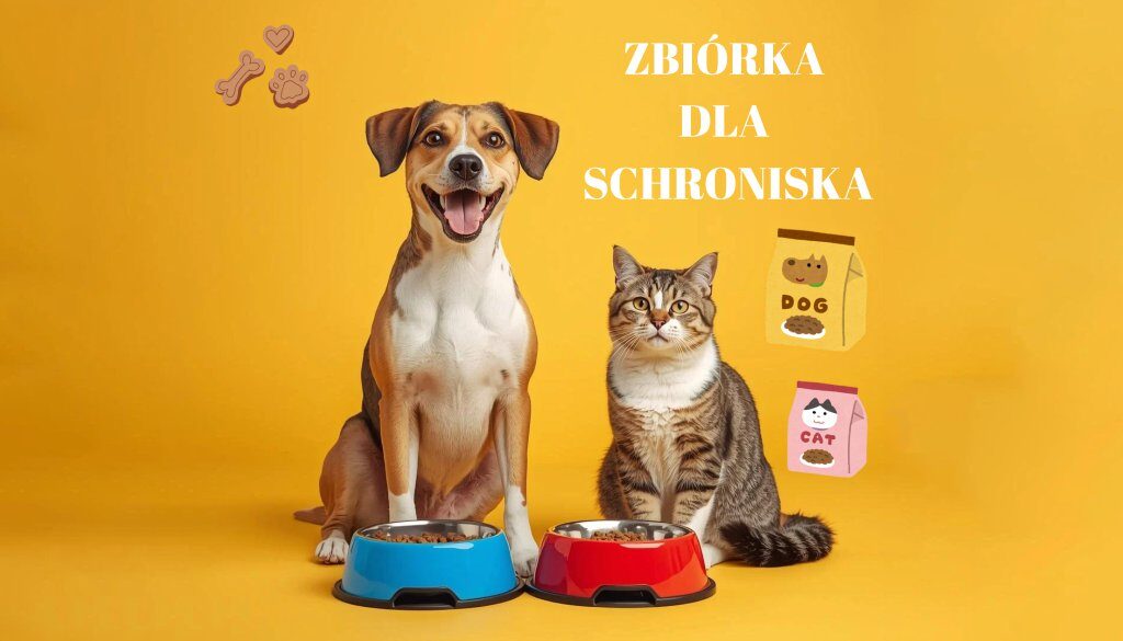 Zbiorka202511
